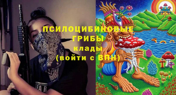 ешки Гусь-Хрустальный